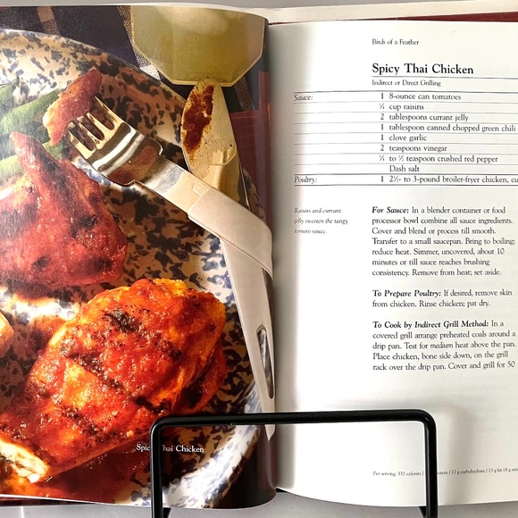 Grill It Right cook book. " For thr Grill Master " - Picture 4 of 11